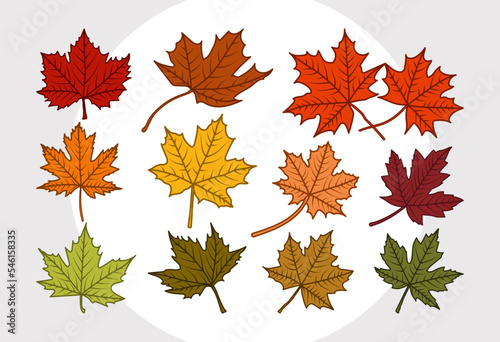Maple Leaf SVG Bundle  Leaf Silhouette  Fall Leaves Svg  Autumn Leaves Svg  Thanksgiving Svg 