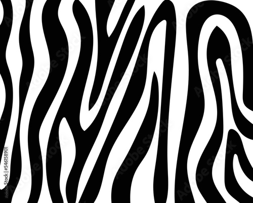 vector zebra skin.