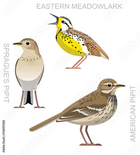 Cute Bird American Pipit Set Cartoon Vector