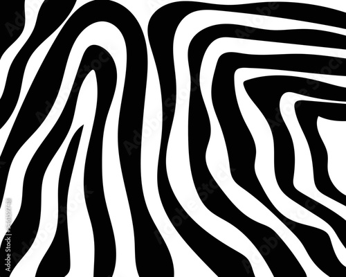 vector zebra skin pattern.