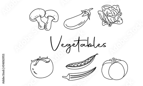 Vegetables doodle drawing collection. vegetable such as mushroom, brinjal, cabbage, tomato, peas, okra, pumpkin etc. Hand drawn vector doodle illustrations in black isolated over white background.