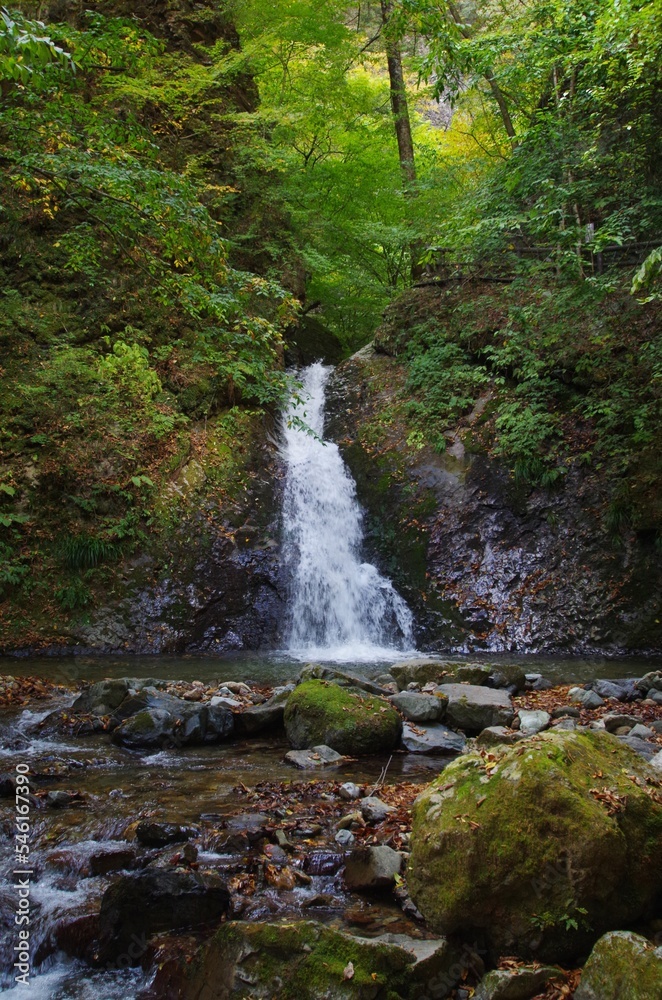 Fototapeta premium 風挙の滝