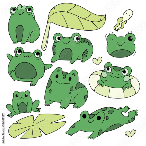 Toad Frog Doodle Colorful Hand Drawn Illustration Vector Set