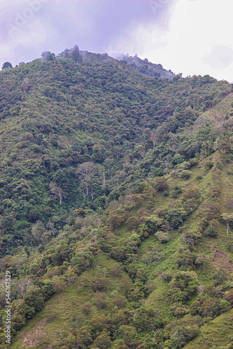 view from the mountain