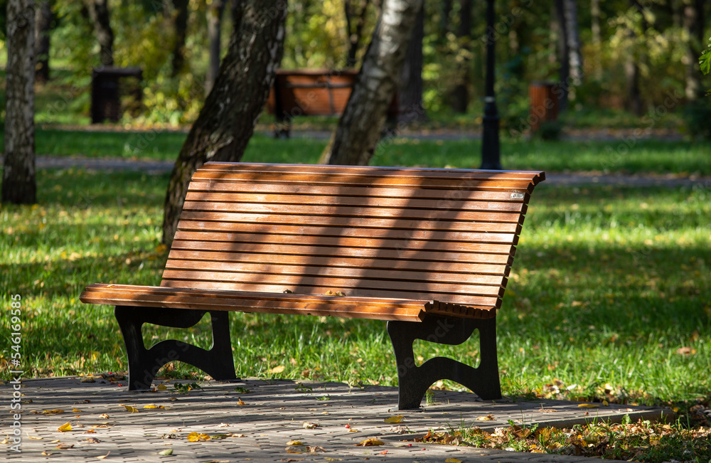 Golden autumn in the city park, landscape. Golden autumn in the city park, landscape.
