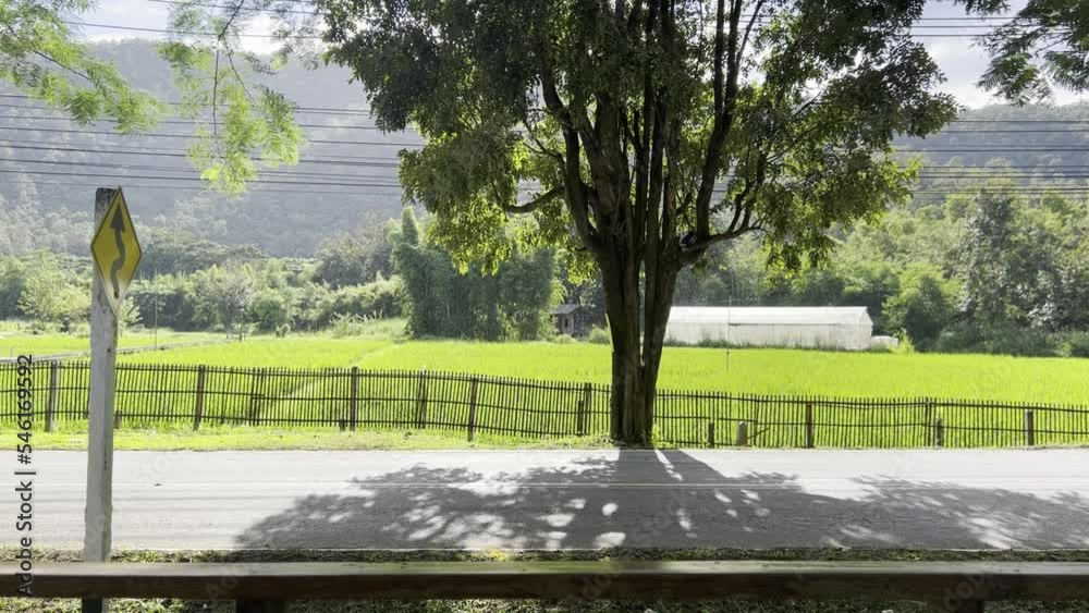 natural street view in country side