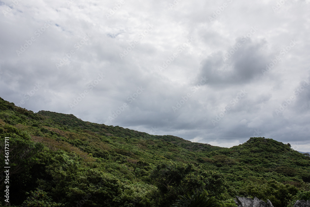 沖縄の空と海と植物