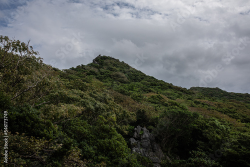 沖縄の空と海と植物 © 黒水 雪那