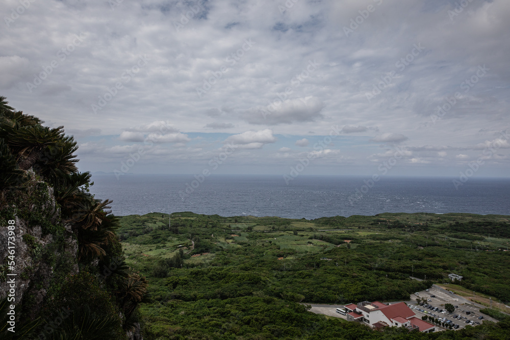 沖縄の空と海と植物
