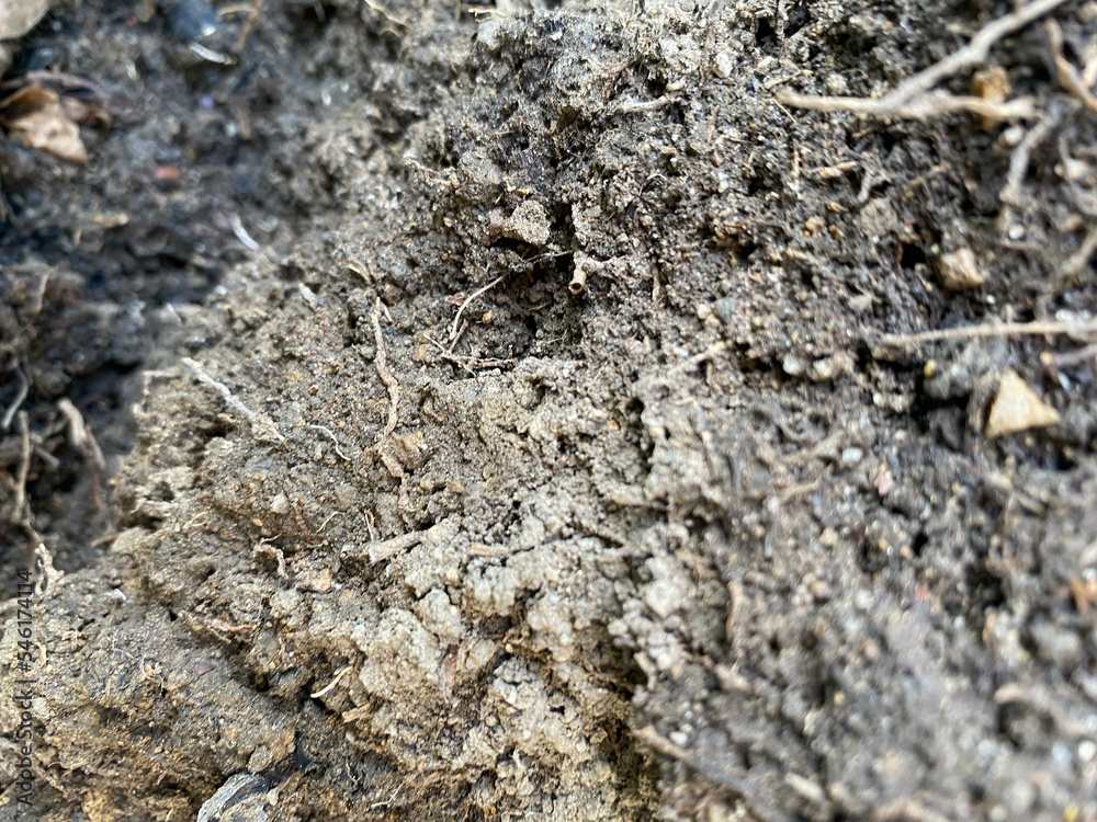 soil ground