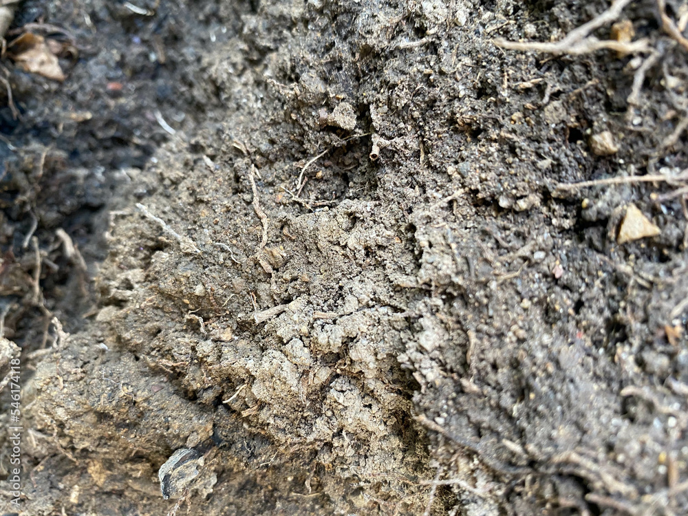 soil ground soil ground