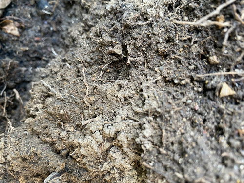 soil ground