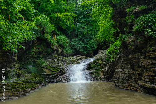 Forest waterfall with rocks  ferns and green moss