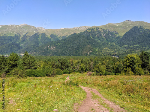 Beautiful landscape of the Caucasus Mountains and coniferous forest in the village of Arkhyz. Teberdinsky natural reserve. Arkhyz, Karachay-Cherkessia, Russia