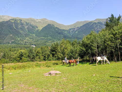 Arkhyz, Caucasus, Russia - August 23, 2022: Beautiful landscape of the Caucasus Mountains and coniferous forest in the village of Arkhyz. People ride horses in the Teberdinsky nature reserve