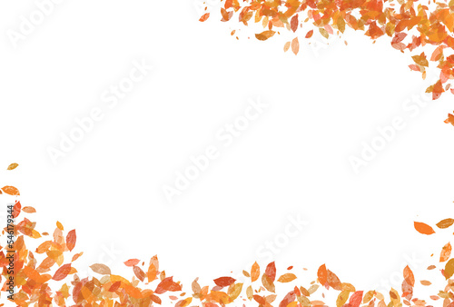 紅葉した落ち葉のフレーム