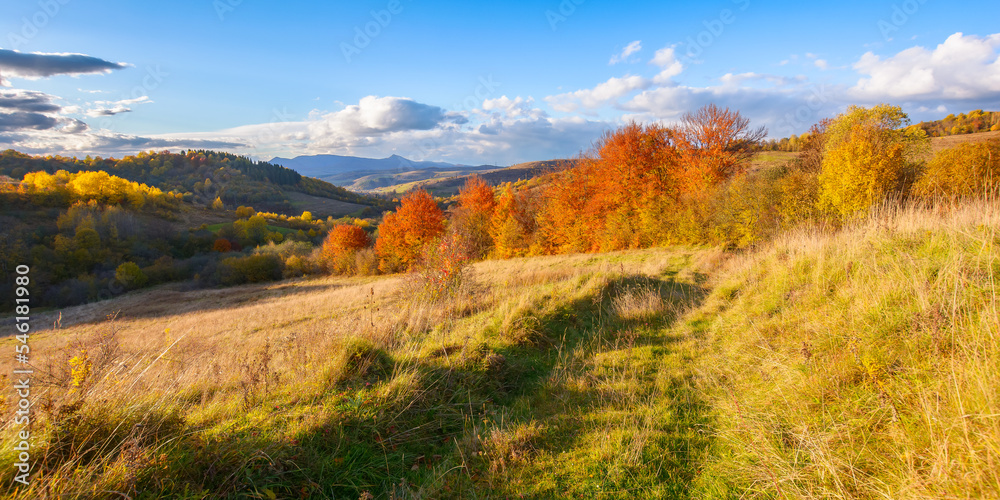fantastic autumn afternoon in carpathians. iconic picture of transcarpathia with pikui peak in the distance. superb evening landscape of ukrainian countryside. traveling concept background