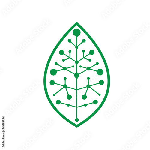 leaf molecule technology icon vector illustration concept design template