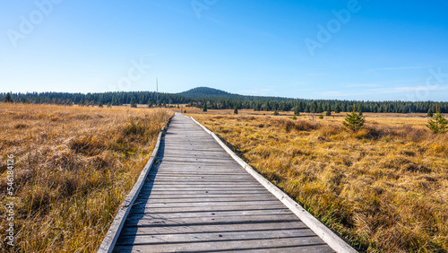 Wooden path in Bozi Dar peat bog nature reservation on sunny autumn day. Ore Mountains, Czech: Krusne hory, Czech Republic