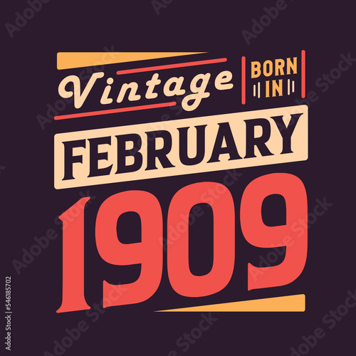 Vintage born in February 1909. Born in February 1909 Retro Vintage Birthday