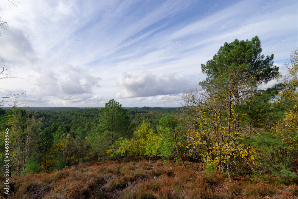 Rocks and hills in the circuit of 25 bumps. Fontainebleau forest Rocks and hills in the circuit of 25 bumps. Fontainebleau forest
