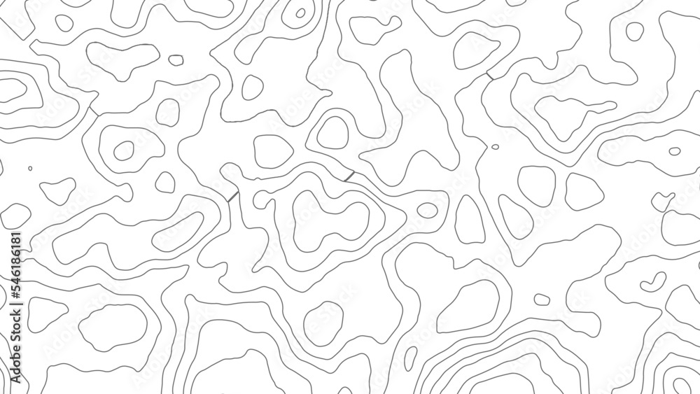 Vector seamless background. Stylish linear texture. Monochrome vector texture. Wavy graphic background. The wavy lines. Topographic map