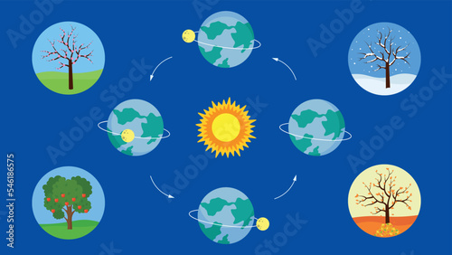 Trees at different times of the year depending on the position of the Earth relative to the Sun