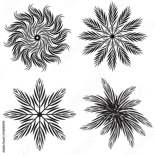 high angle view. drawing image, palm or coconut leaves set. white background