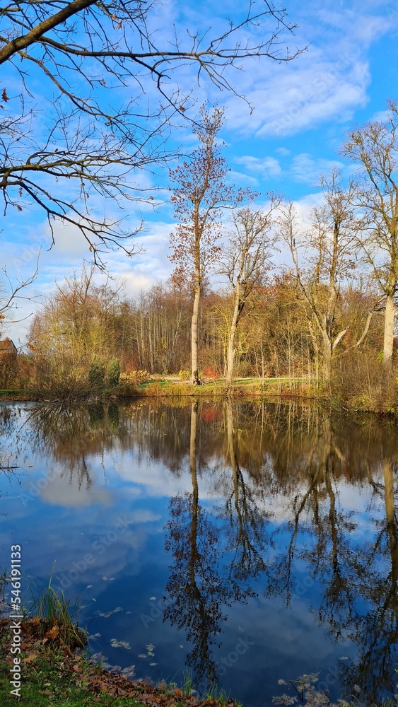 Forest on sunny day in late autumn and reflections of trees on the surface of the reservoir Forest on sunny day in late autumn and reflections of trees on the surface of the reservoir