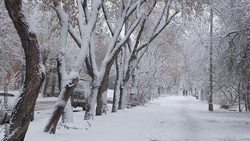 Cold snowy winter in the city. Perspective of a street with beautiful trees in the snow. Snowfall, blizzard and poor visibility