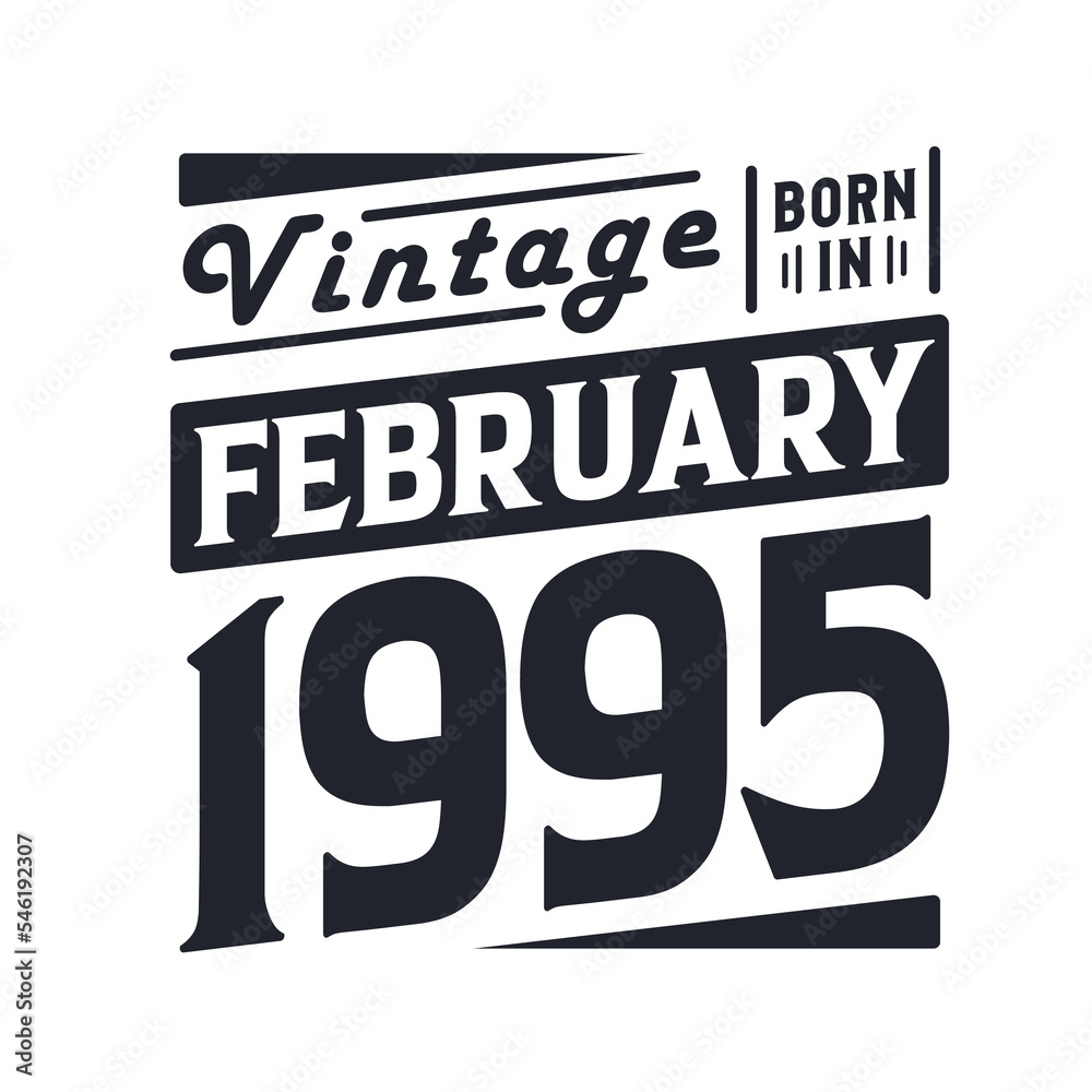 Vintage born in February 1995. Born in February 1995 Retro Vintage Birthday
