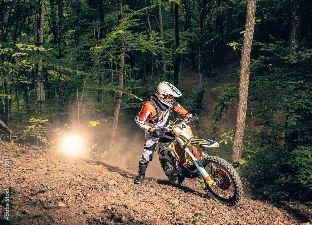 Fototapeta premium Extreme rider climbing rocky hill in the forest
