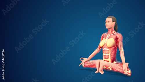 3D human Mulabandhasana or Root Lock yoga pose on blue background photo
