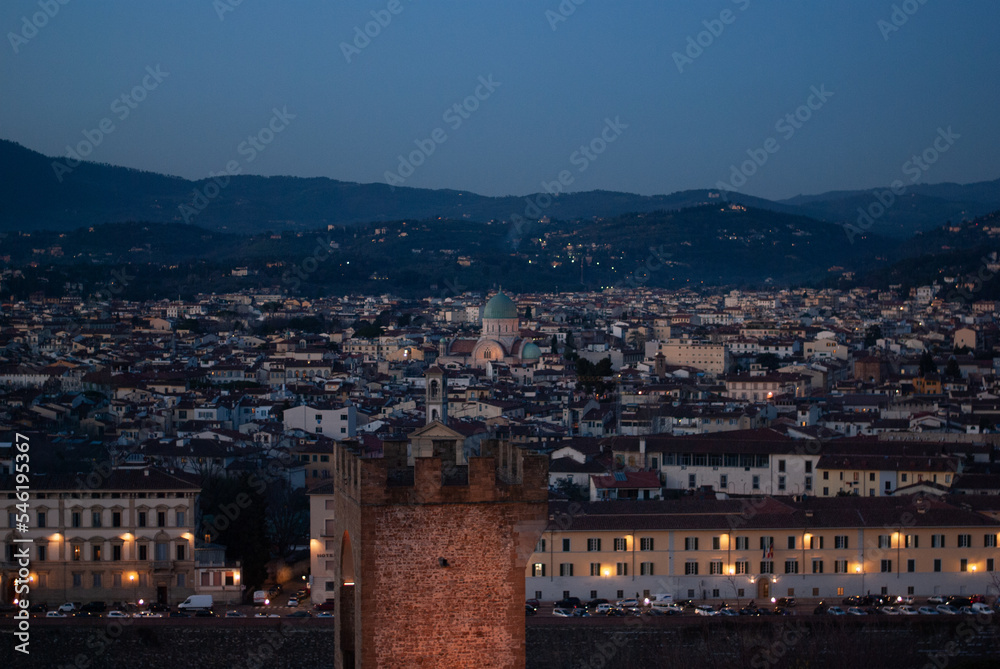 View on night city Florence