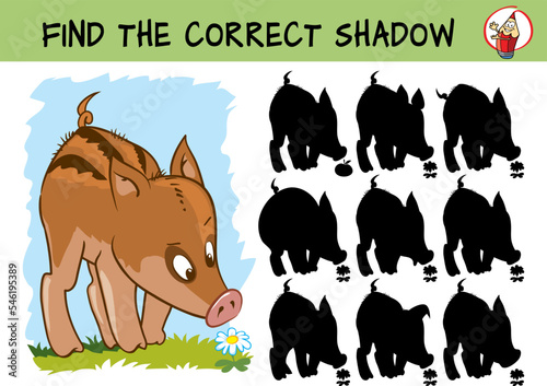 Little boar. Wild pig. Find the correct shadow