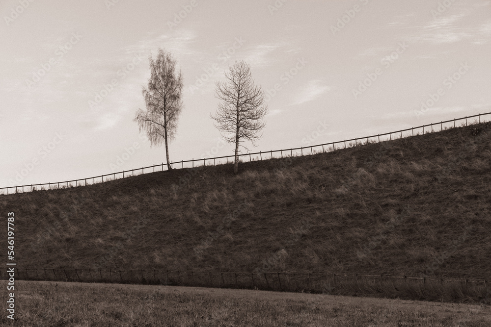 cultural landscape with trees and sky cultural landscape with trees and sky