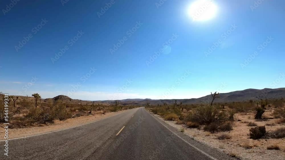 Joshua Tree 51 California Joshua Tree 51 California