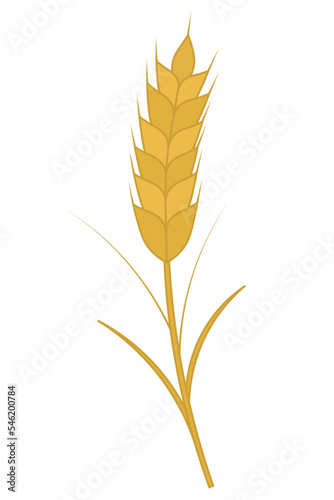 Ear of wheat. Golden rye. Cereal crop necessary for the manufacture of flour. Color vector illustration. Isolated background. Flat style. Summer harvest. Seasonal product. Idea for web design.