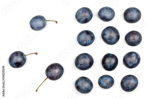 Blackthorn fruits isolated on a white background, top view