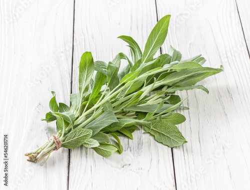 Obraz na płótnie Bunch of fresh sage on white wooden background w salonie