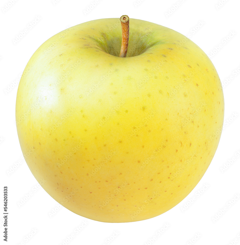 Yellow Apple Isolated on White background, Golden yellow Orin Apple isolated on white With clipping path.