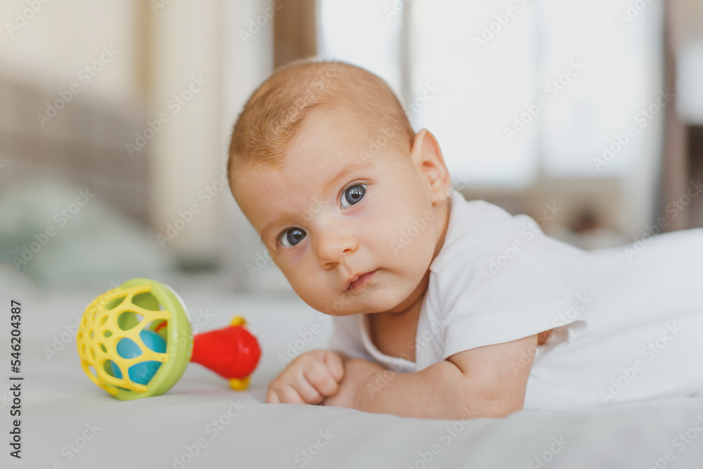 close-up of a baby girl 2 months old, lies on her stomach with a rattle, looks at the camera, the concept of newborn, infancy close-up of a baby girl 2 months old, lies on her stomach with a rattle, looks at the camera, the concept of newborn, infancy
