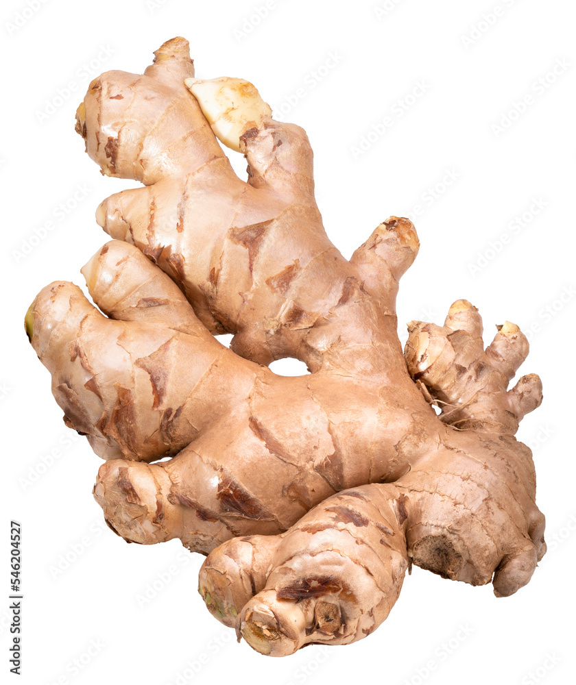 Fresh ginger with green leaves on white background, Ginger root on white background PNG File. Fresh ginger with green leaves on white background, Ginger root on white background PNG File.