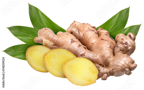 Fresh ginger with green leaves on white background, Ginger root on white background PNG File. photo