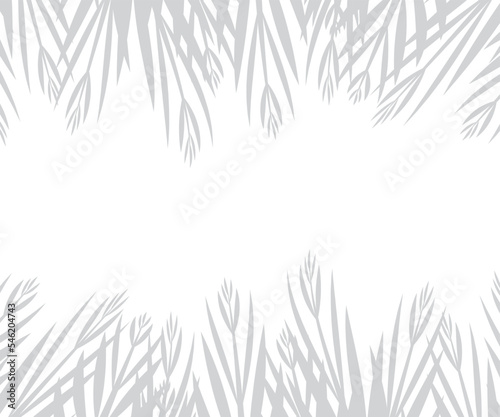 Fototapeta Naklejka Na Ścianę i Meble -  Abstract background of palm leaves or coconut leaves on above and below. Natural pattern, gray shadow. Copy space. For advertisements, business cards, brochures and white backgrounds.