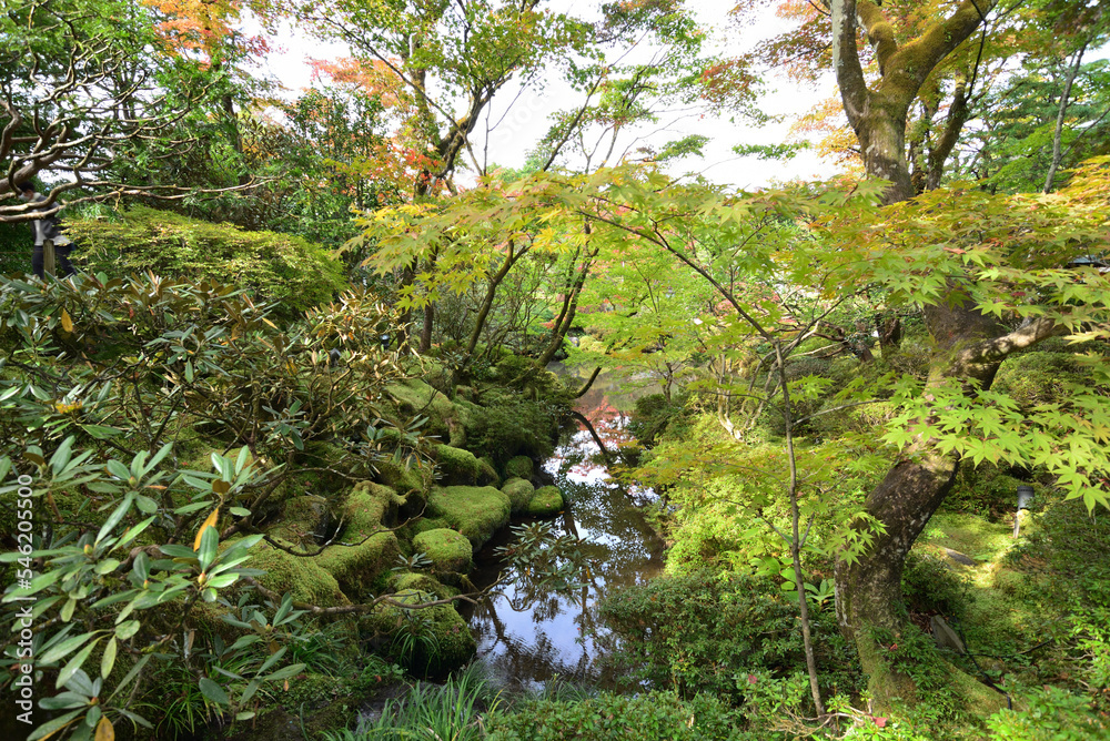 Fototapeta premium 紅葉し始めの日本庭園 日光山輪王寺