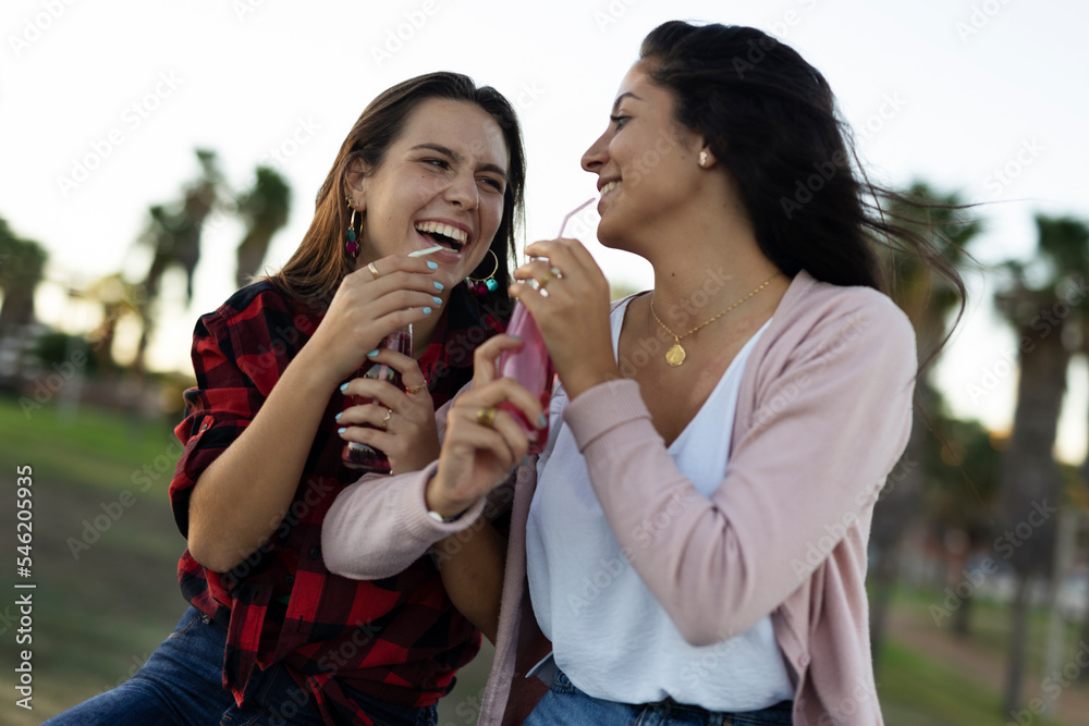 Beautiful lesbian young couple embraces. Girls drinking juice. LGBT community. Beautiful lesbian young couple embraces. Girls drinking juice. LGBT community.
