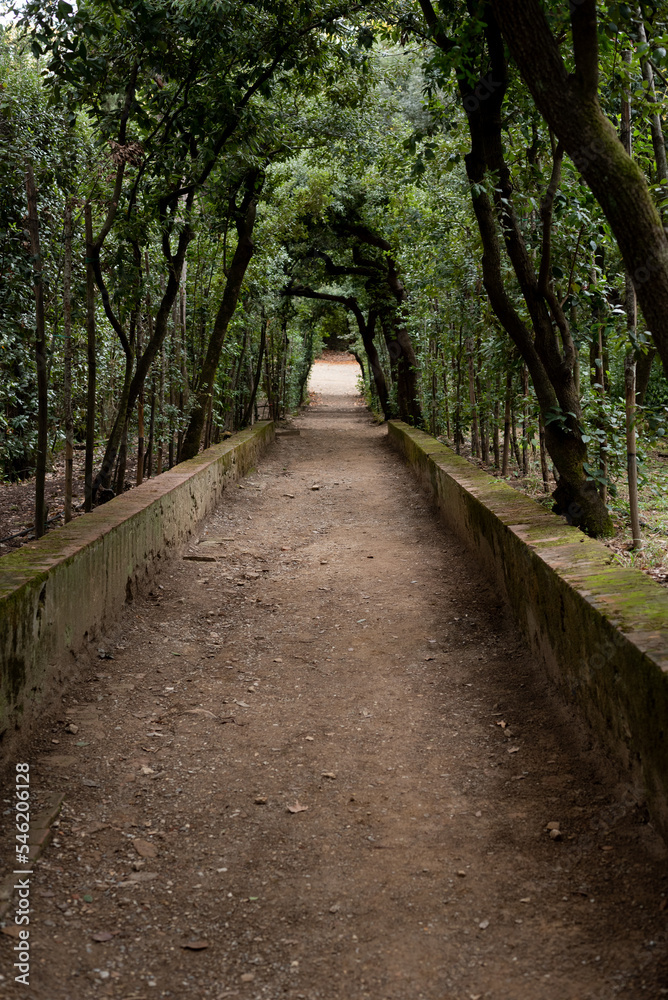 footpath in the park footpath in the park
