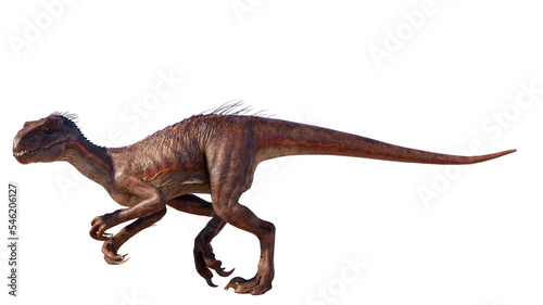Dinosaur indoraptor PNG