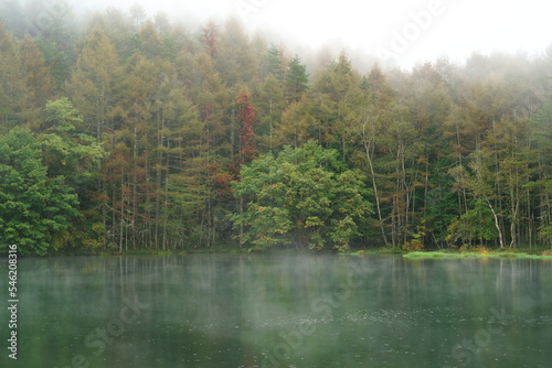 霞の出ている初秋の森と池 -日本、御射鹿池